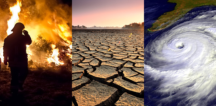 El calentamiento global y el cambio climatico
