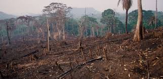 EL CALENTAMIENTO GLOBAL