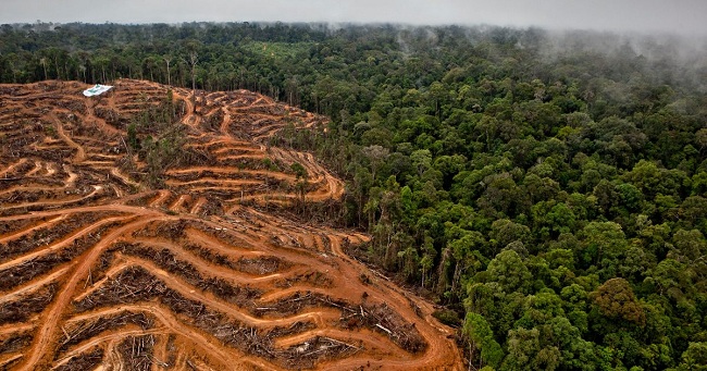 Las personas destruyen nuestra tierra