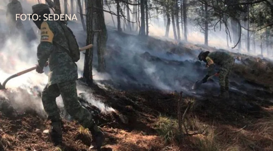 Incendio forestal en Sierra de Santiago, Nuevo León arrasa con más de 1,200 hectáreas