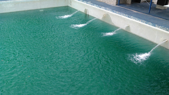 Instituto Regional del Deporte de Aragua restauro complejo de piscinas