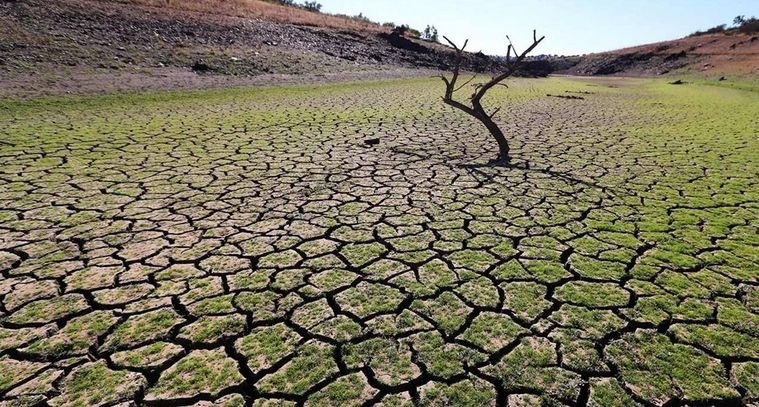 Problemas Medioambientales