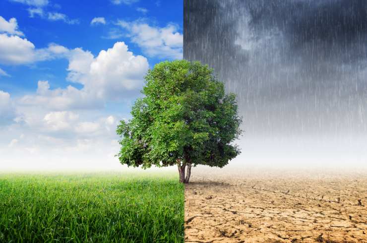 AUN PODEMOS SALVAR AL MEDIO AMBIENTE