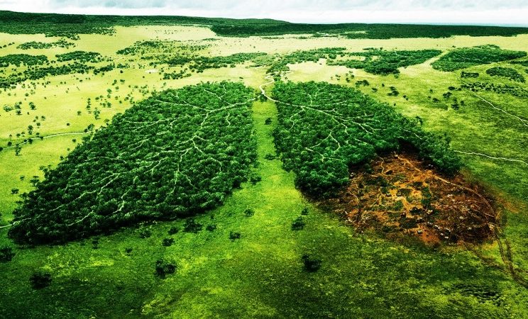 contaminación atmosférica