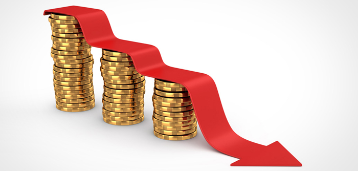 Efecto pandemia y la caída de la economía