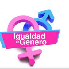 Comité de Igualdad de Género