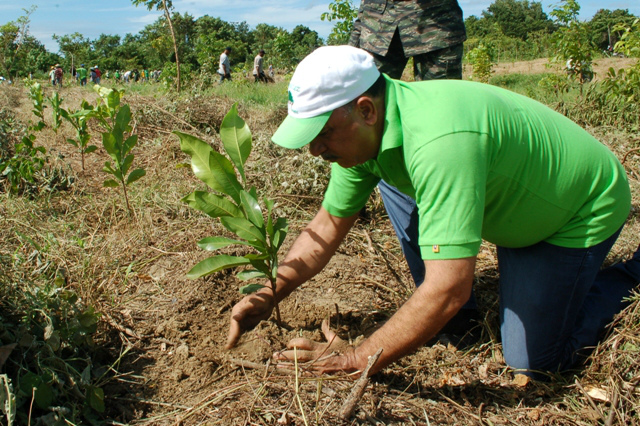 Plantando árboles por un aire más limpio