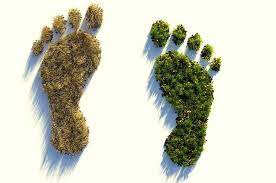Deterioro Ambiental