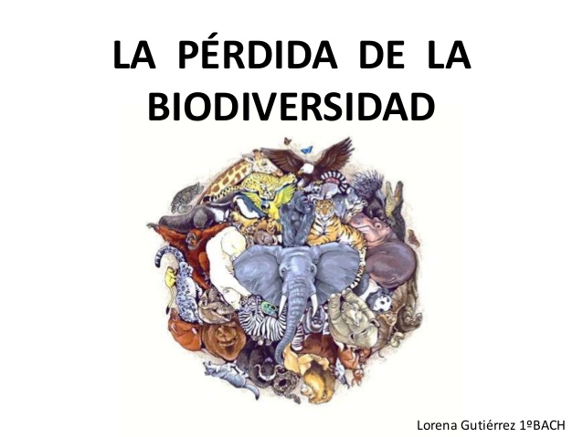Depredación y pérdida de biodiversidad