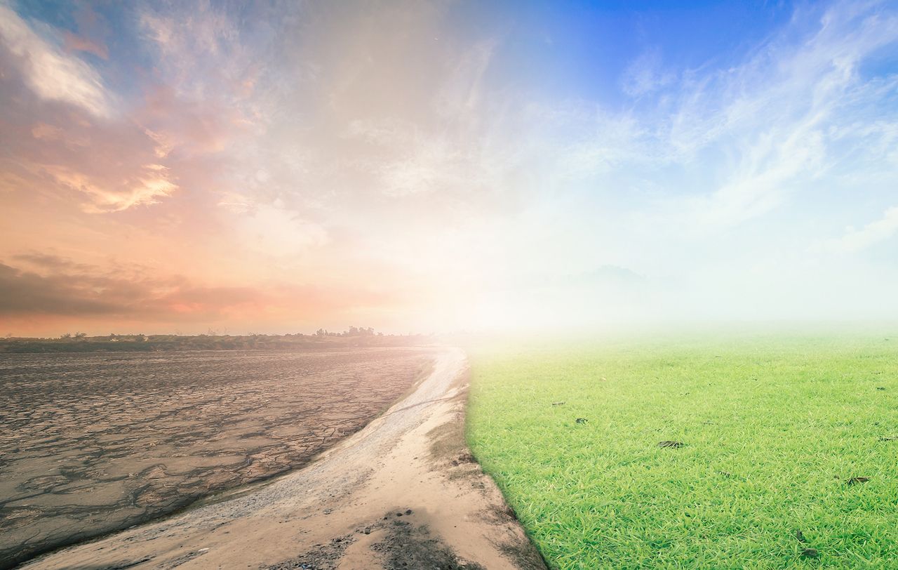 El cambio climático podría dejarnos sin alimentos