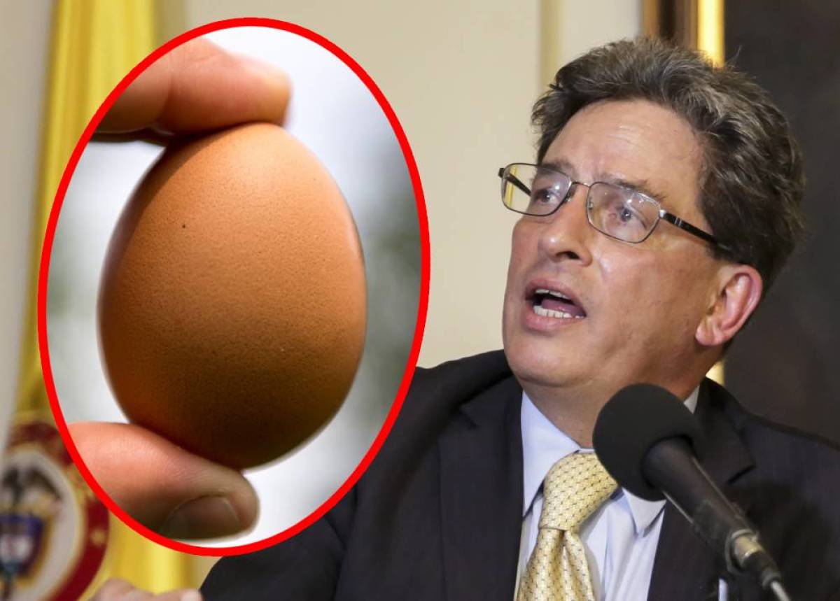 Críticas a Carrasquilla por no saber cuánto vale una canasta de huevos