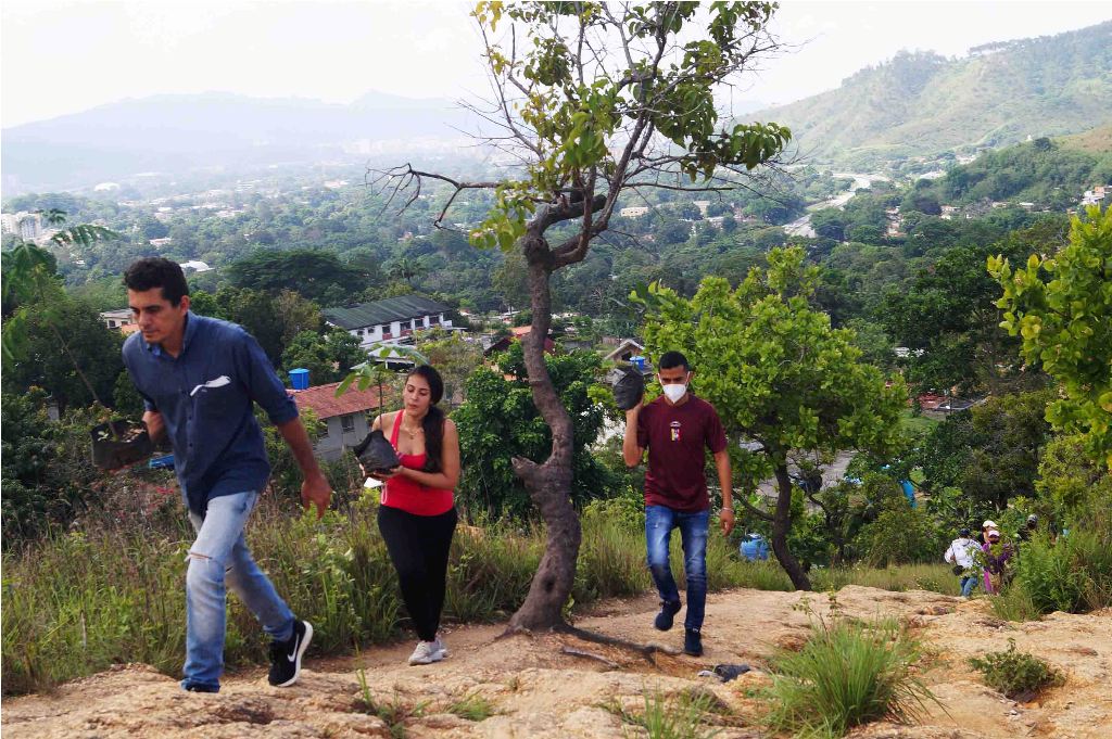 Sembraron 200 árboles en Parque Nacional San Esteban
