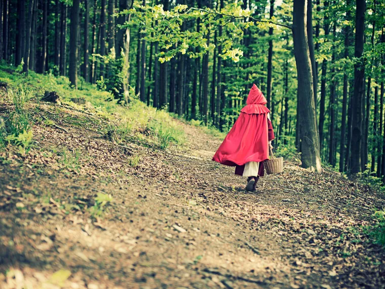 Asesinan a una niña de 5 años en un bosque a plena luz del día