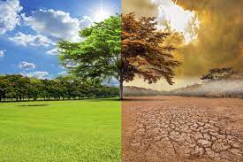 Cambio climático