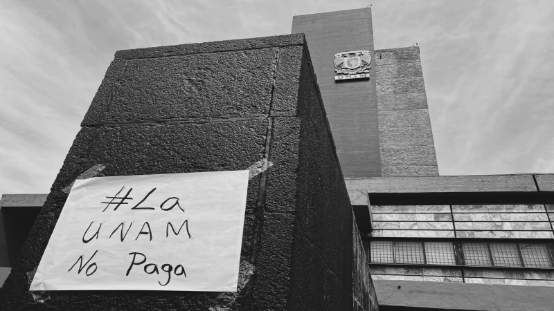 Programa de basificación para docentes de la UNAM