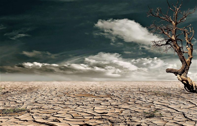 Desertificación, el fin del suelo productivo.