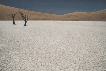La desertificación