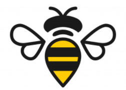 Las abejas y su importancia para la humanidad.