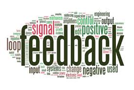 Por qué hacer del feedback parte de la cultura de una empresa
