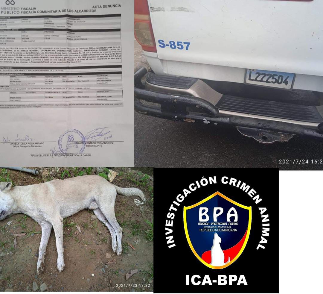 La Brigada de protección animal,BPA, pide investigar y dar con el paradero de esta persona.