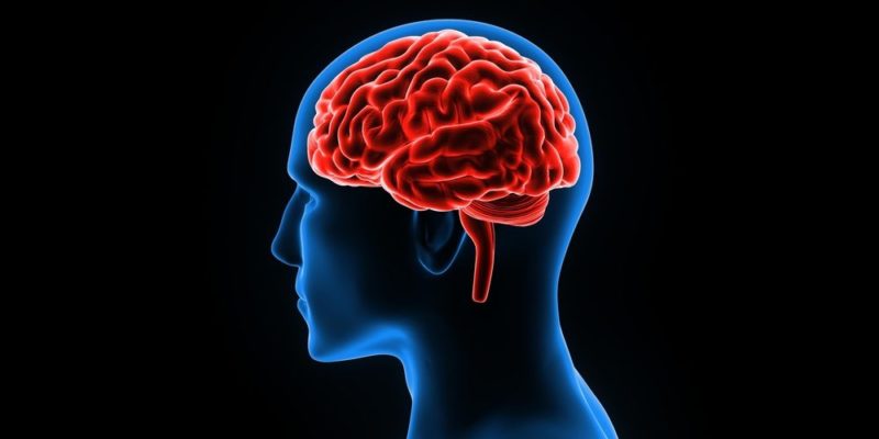 El entrenamiento del cerebro que enseña a manejar la ansiedad.