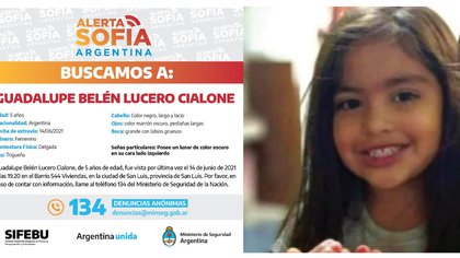 La intensa búsqueda de Guadalupe