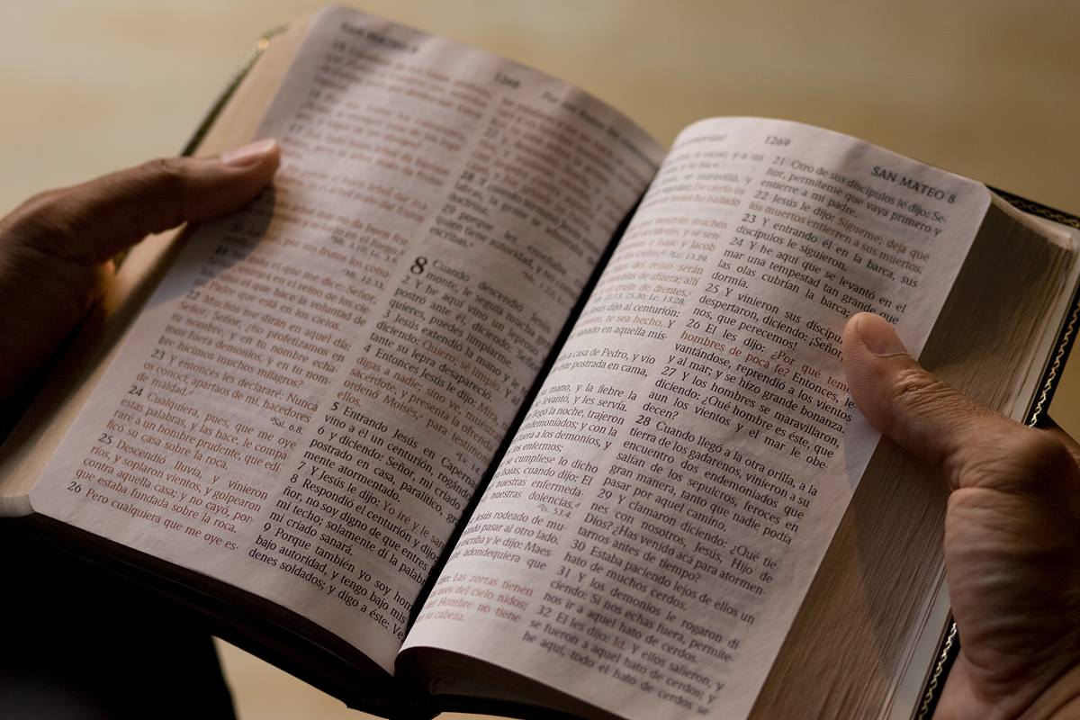 ¿Por qué el número 7 se repite tantas veces en la biblia?
