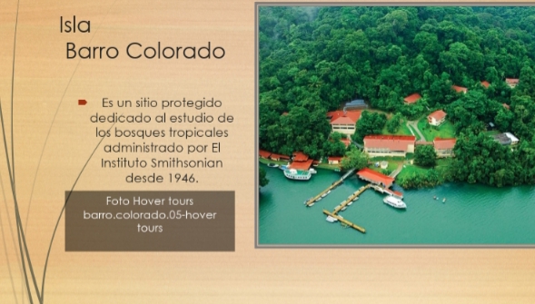 Barro Colorado es una isla localizada en el Lago Gatún del Canal de Panamá.