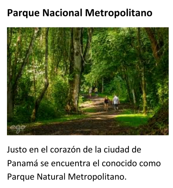 Naturaleza en medio de una metrópoli