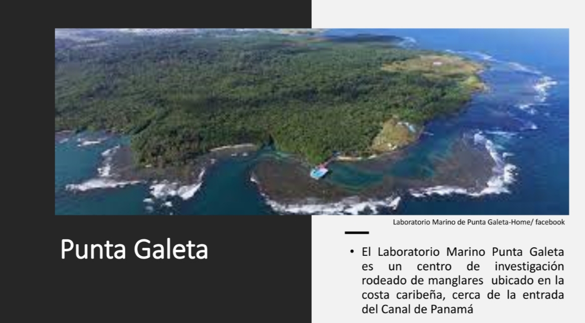 Punta Galeta Turismo de Naturaleza
