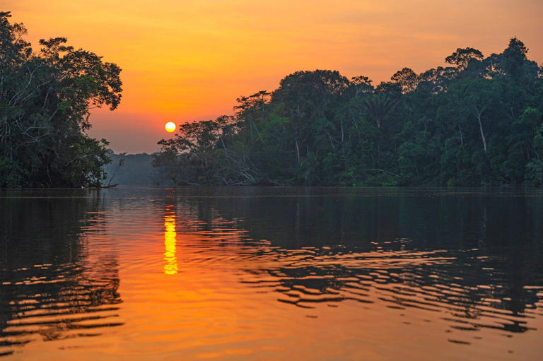 La antigua ciudad del Amazonas que desafía nuestra comprensión de la civilización