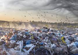 LA BASURA