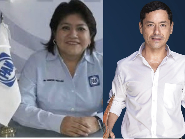 RECUPERANDO ACCIÓN NACIONAL
