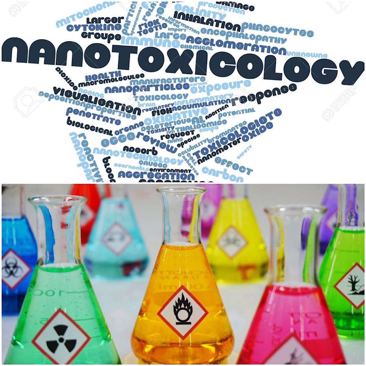 Nanotoxicology