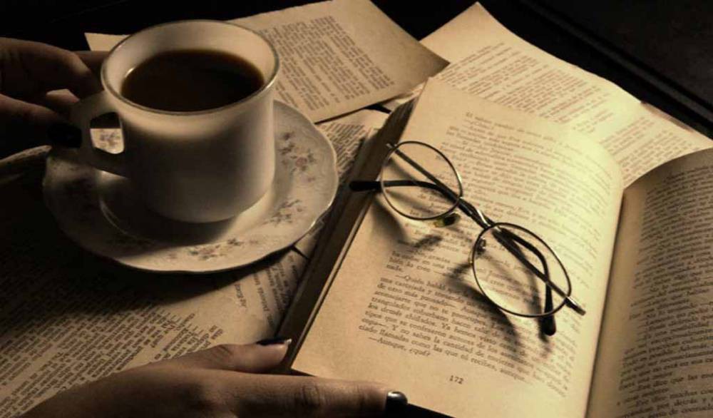 Inicio de la revisión de la literatura
