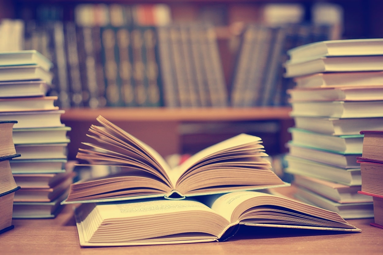 Consulta de la Literatura