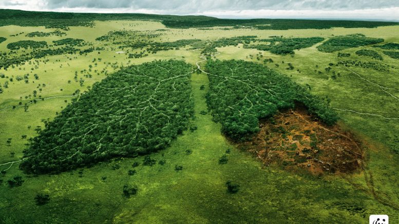 Explotación de los recursos naturales en nuestro planeta.