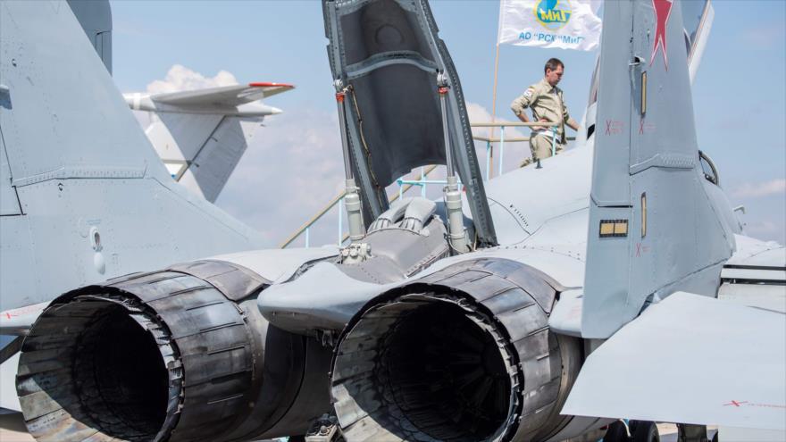 "Night hunters" are spotted in Syria for the first time