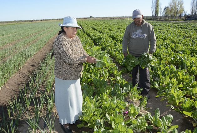  Plan “Parcelas Hortícolas” Realizaron la primera cosecha.