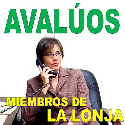 Miembros activos 2017 de LA LONJA