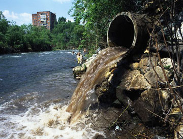 ALTA CONTAMINACION POR MERCURIO EN VENEZUELA