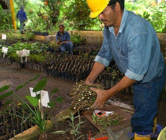 En sólo dos años Colombia transformó el 1,86% de su territorio natural