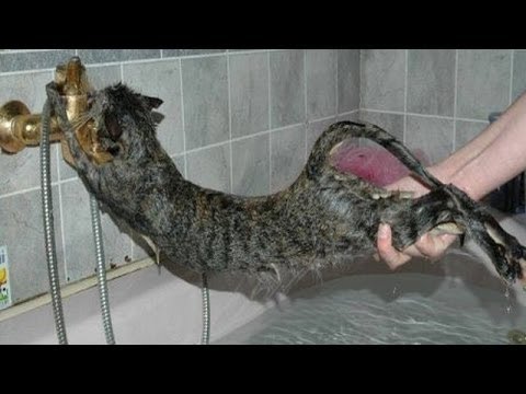 No me bañen por favor.