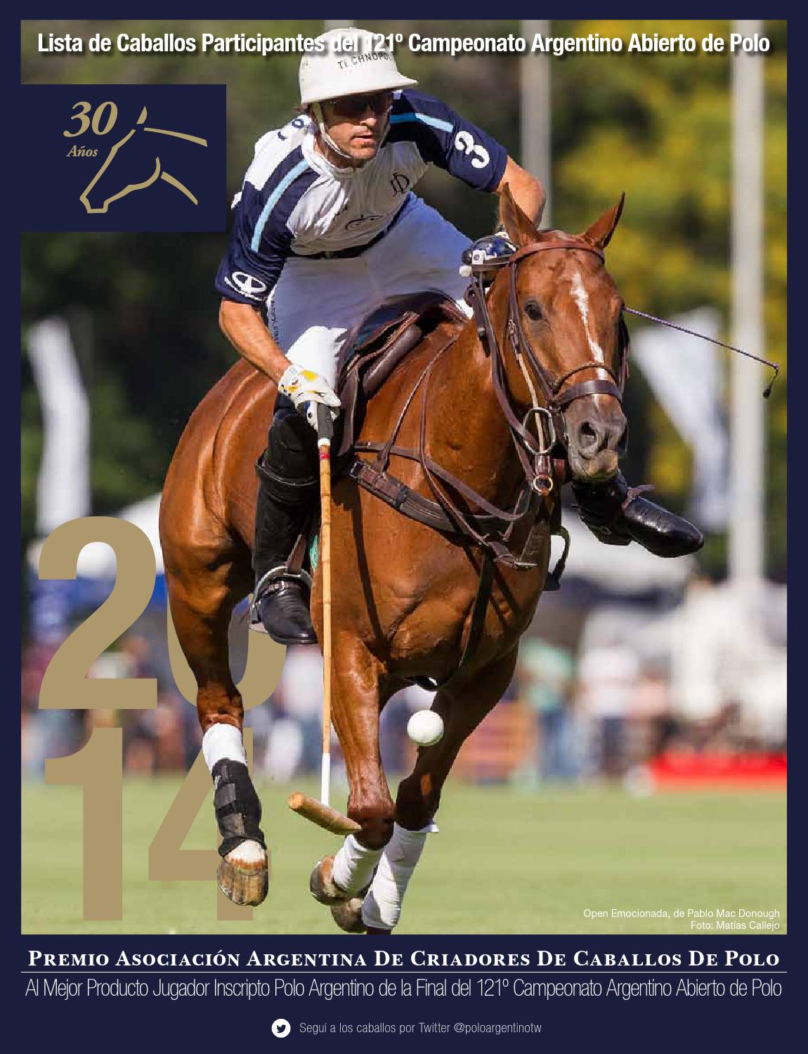 historia del polo