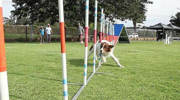 El deporte atrae a los jóvenes y a sus animales  