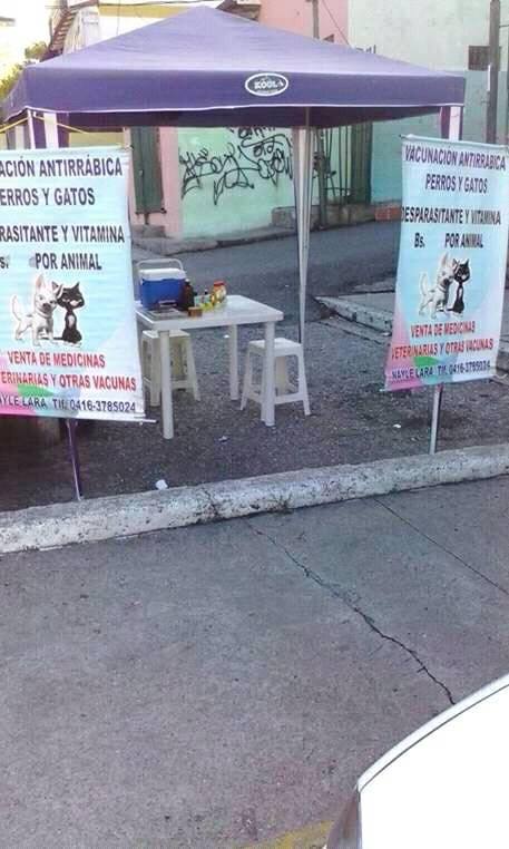 Asociación Civil Paticas realizara jornada de vacunación y esterilización 