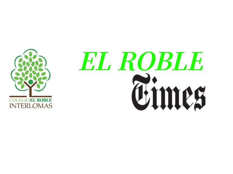 Un Avión Se Estrelló 