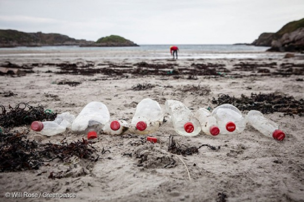 Coca Cola incrementó
producción de 
botellas 
de plástico, 
según Greenpeace
