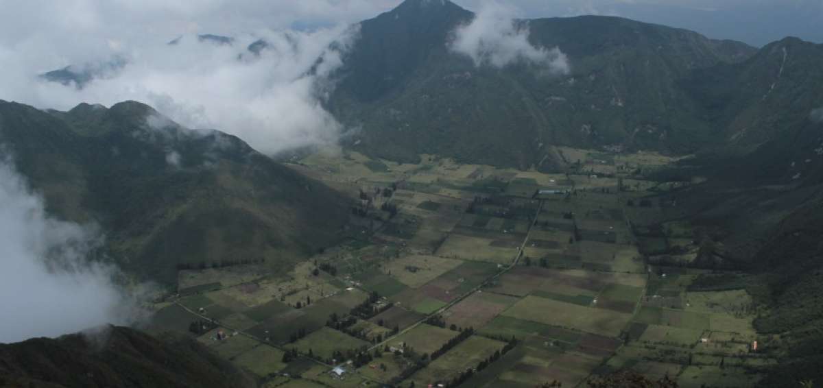 Ecuador reforesta reserva del Pululahua, una apuesta por "reverdecer el país"  