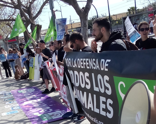 Decenas de personas protestan en el Oceanográfic de Valencia contra el maltrato animal